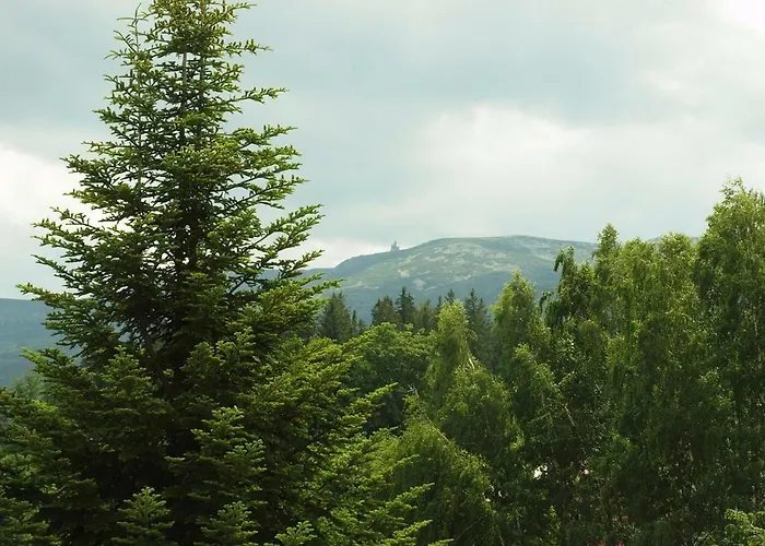 منزل للإقامة Aura شكلارسكا بوريبا