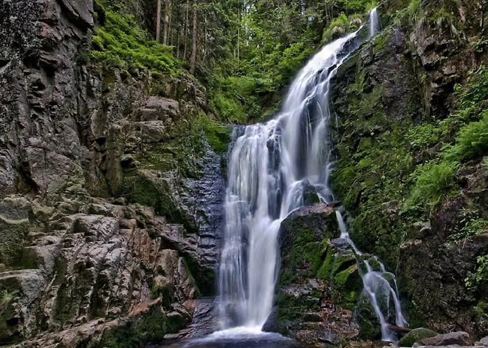 Aura בית אירוח